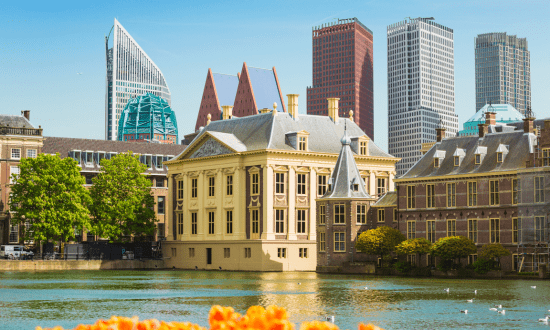 News Procurement Supply Value selected as the best supplier for procurement services (hiring and results), contract, and supplier management for the Dutch Government (Rijksoverheid).